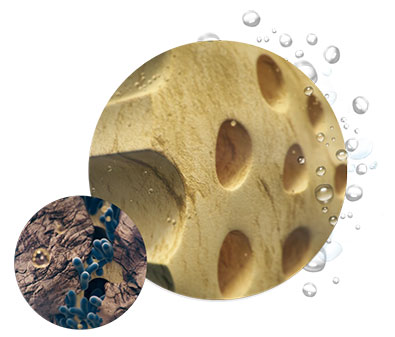 West San Angelo EdgePro Procedure
