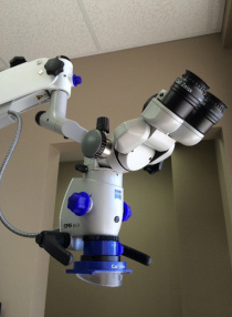 Endodontist 76901